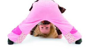 carousel activity 1024x768 fotolia 2669642 min